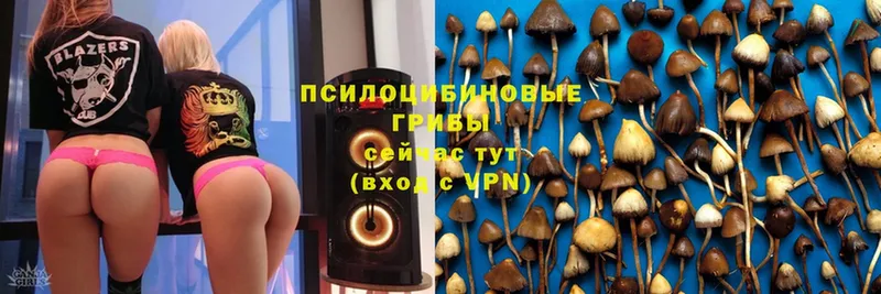 Псилоцибиновые грибы Magic Shrooms  Муром 